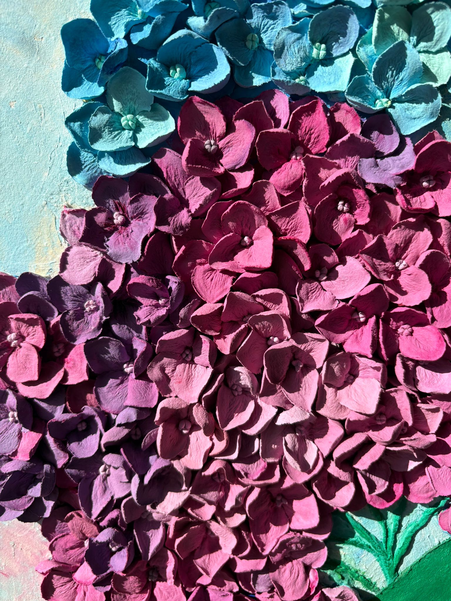 Hydrangea Balance 1