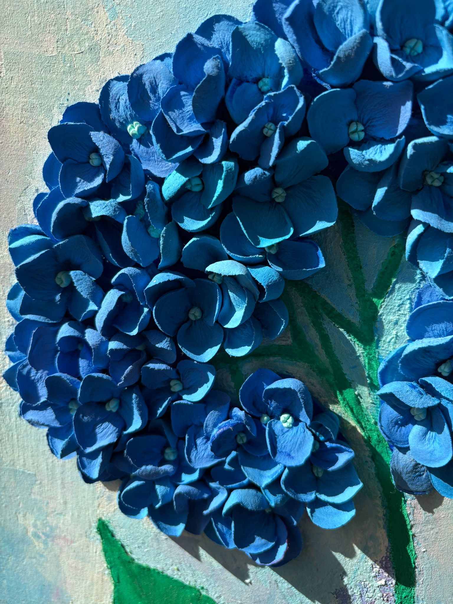 Hydrangea Balance 2