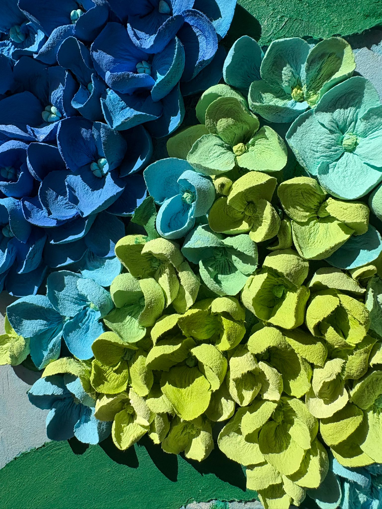 Hydrangea Balance 3