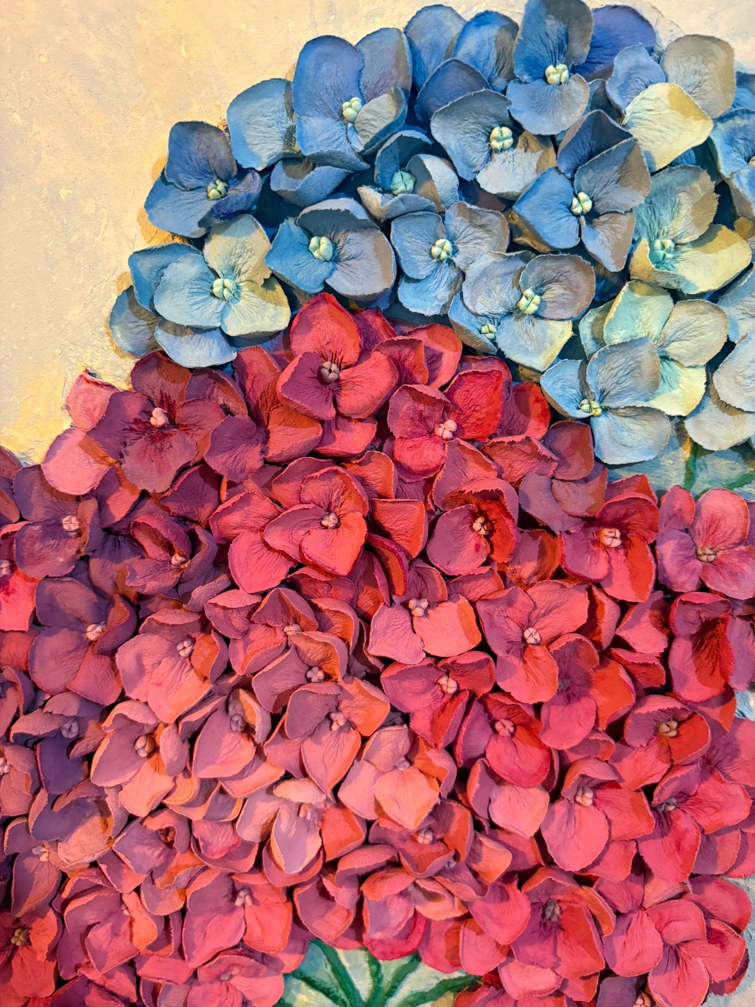 Hydrangea Balance 5
