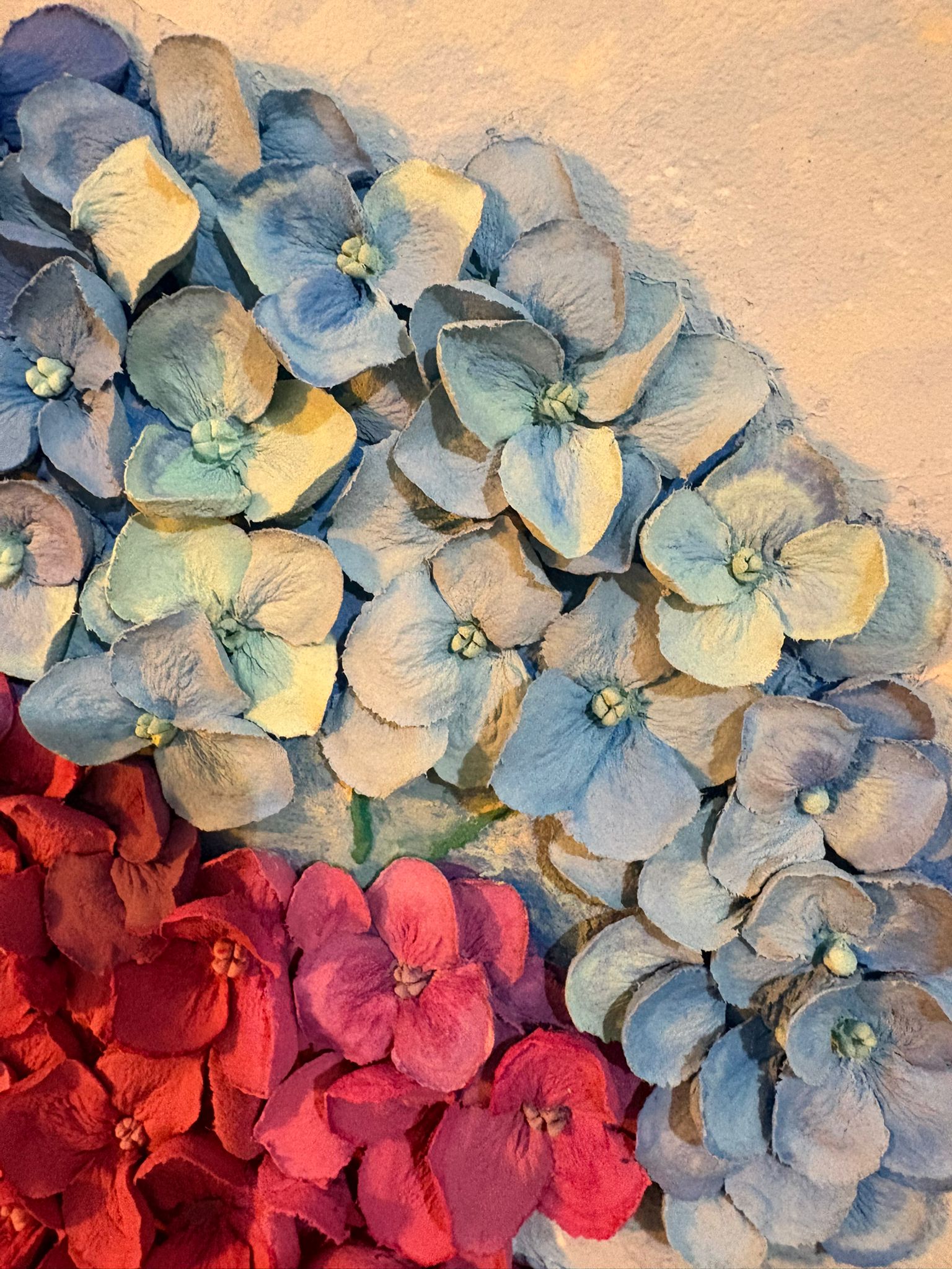 Hydrangea Balance 6