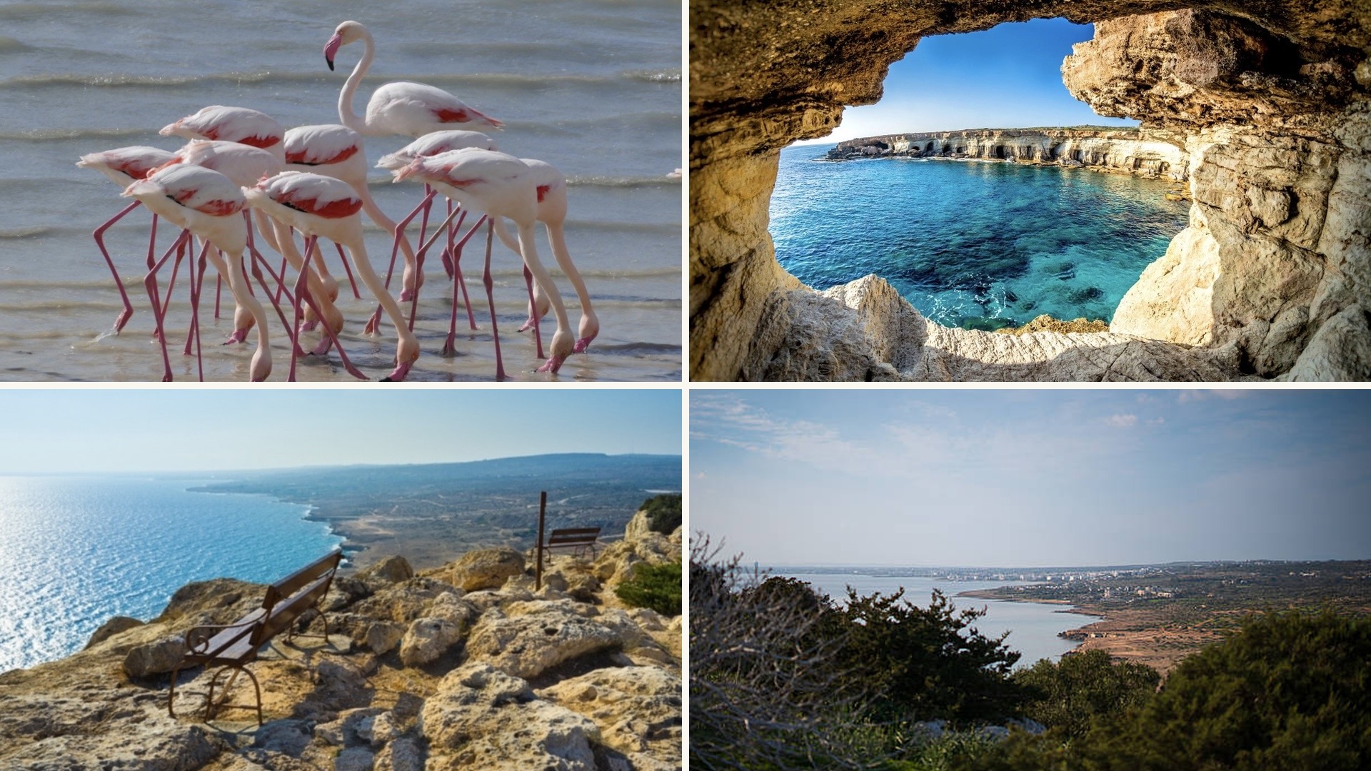 Scent of Pines and Pink Birds: The Quiet Season in Protaras, Cyprus