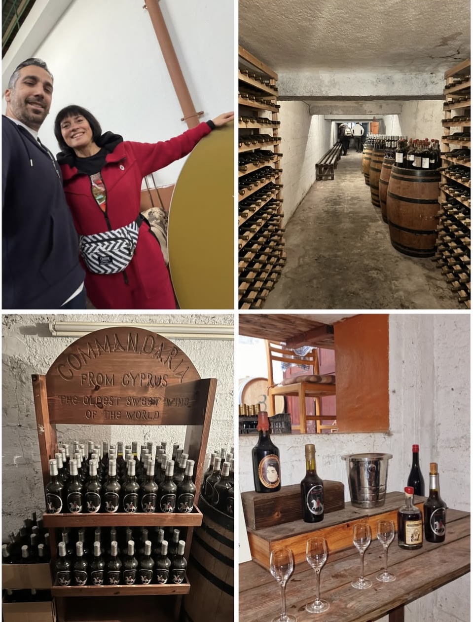 Wine tours with Maria, Cyprus, LibraArte Villa