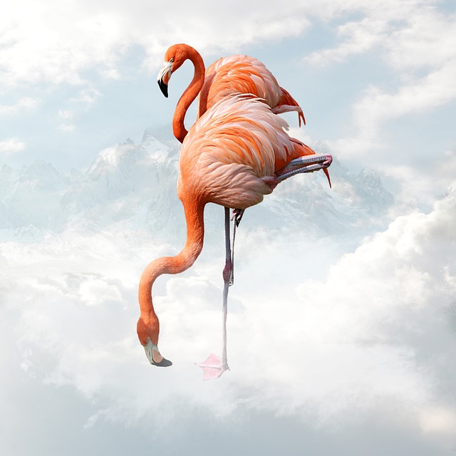 &Delta;ύ&omicron; &rho;&omicron;&zeta; &phi;&lambda;&alpha;&mu;ί&nu;&gamma;&kappa;&omicron; &mu;&alpha;&zeta;ί &sigma;&epsilon; &rho;&eta;&chi;ά &nu;&epsilon;&rho;ά &chi;&epsilon;&iota;&mu;&epsilon;&rho;&iota;&nu;ή&sigmaf; &lambda;ί&mu;&nu;&eta;&sigmaf; &sigma;&tau;&eta;&nu; &Kappa;ύ&pi;&rho;&omicron;.